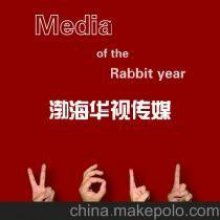 廣告?zhèn)髅?塑造現(xiàn)代商業(yè)與文化的無(wú)形之手